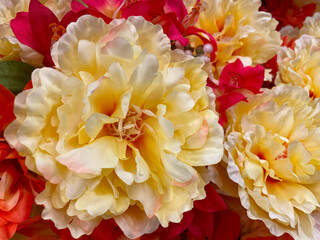 floral abstract background red velvet colors