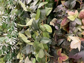 floral abstract background fall garland colorful