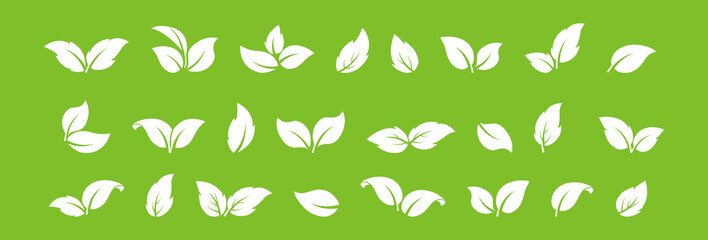 Leaf vector icon, eco symbol, organic set, foliage plant, bio recycle sign, sprout shape. White simple ecology label on green background. Nature illustration