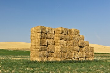 HAystack in the middle of a farm field.