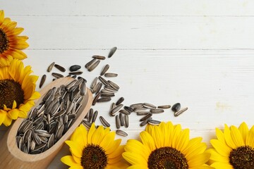 Fototapeta premium Raw sunflower seeds and flowers on white wooden table, flat lay. Space for text