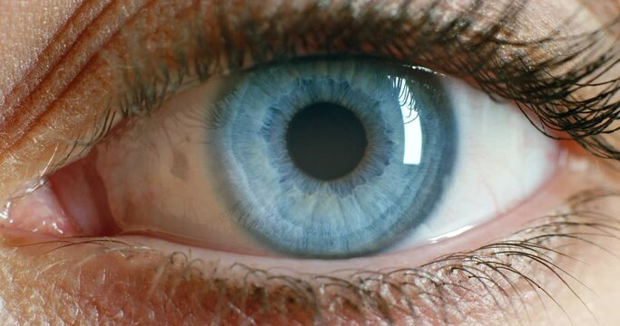 Woman face, blue eyes and vision focus, eyeball and contact lenses to see, eyesight and awareness. Closeup portrait face macro cosmetics lashes, optometry test and awake perception of human anatomy