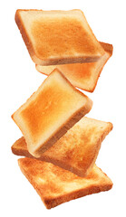 Delicious toasted bread flying on white background