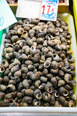 Assortment of fresh catch of fishes, seashells, molluscs on ice on fish market in Spain
