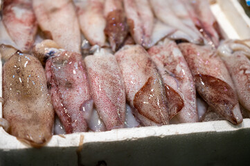 Assortment of fresh catch of fishes, seashells, molluscs on ice on fish market in Spain