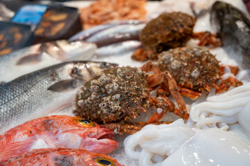 Assortment of fresh catch of fishes, seashells, molluscs on fish market in Spain