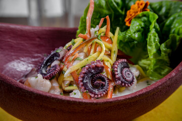 Typical colombian food, ceviche with octopus