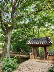 Korean traditional