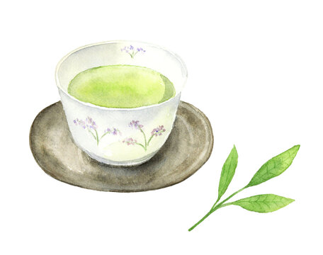 緑茶が入った湯のみとお茶の葉の水彩イラスト 背景透過PNG