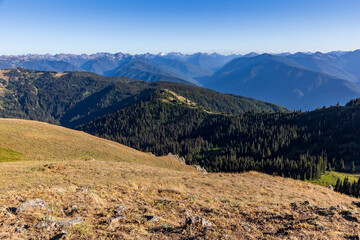 Olympic mountain range viewed from Hurricane Ridge during summer