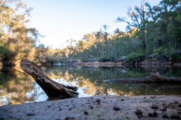 Fototapeta premium Bush reflections Collie WA on the Wilman Bilya Hiking Track