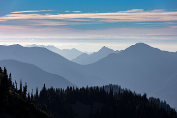 Obraz premium dramatic sunset in Hurricane Ridge with the silhouette of the mountains on the background and the meadow bathed in golden sunlight. 