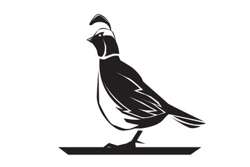 Obraz premium silhouette of a bird