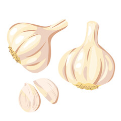 fresh garlic isolated on white