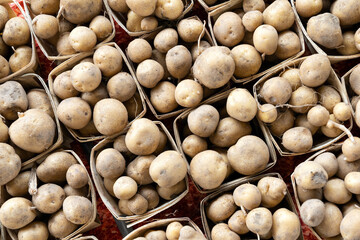 Fresh organic brown unpeeled potatoes in small buckets on a summer farmer market