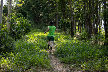 Obraz premium Trail runner running in summer forest trail