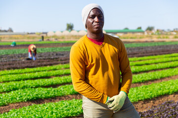 Positive afro american male farm worker posing at plantation on sunny summer day