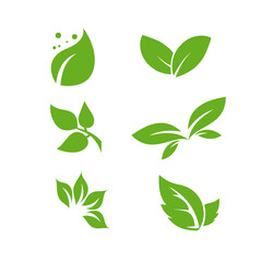 Leaves icon vector set isolated on white background. Various shapes of green leaves of trees and plants. Elements for eco and bio logos.