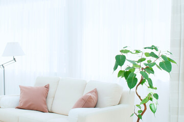 窓辺のソファーと観葉植物