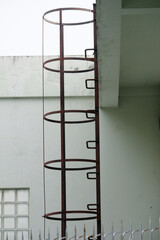 ladder in the office