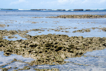 Paradise beach, Paiva.