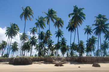 Fototapeta na wymiar Paradise beach, Paiva.