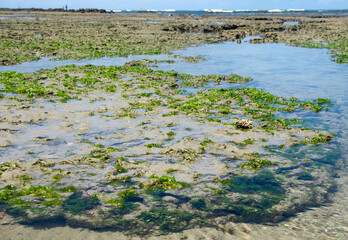 Paradise beach, Paiva.