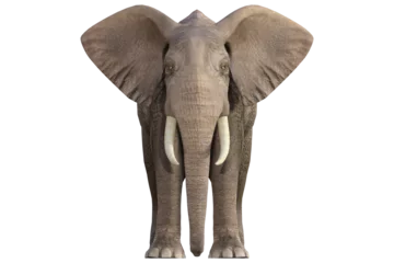 Foto op Aluminium olifant geïsoleerd op transparant © photorebelle