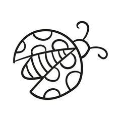 beetle ladybird doodle