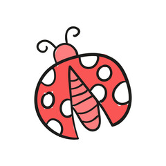 beetle ladybird doodle
