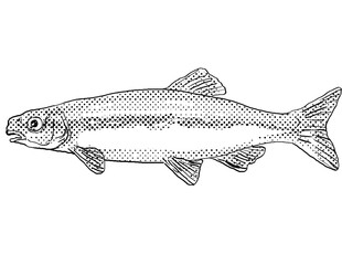 Cartoon style drawing of a bluntnose minnow or Pimephales notatus freshwater fish found in North America with halftone dots on isolated background in black and white.