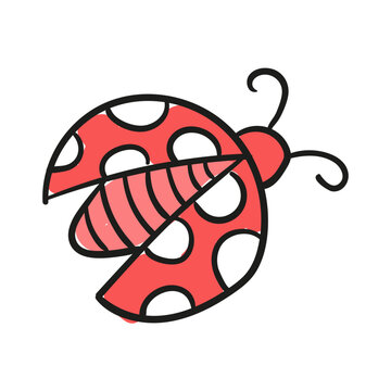 beetle ladybird doodle