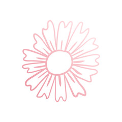 autumn foliage leaves summer 