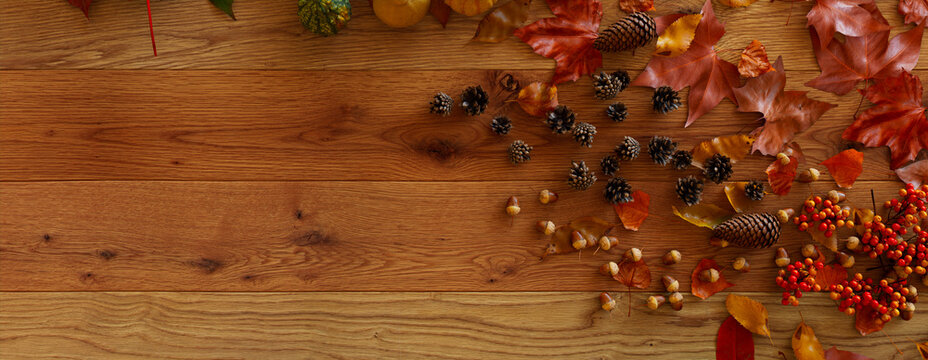 Top down view of Natural wood Tabletop with leaves, Gourds and Pine cones.