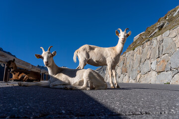 &Ouml;tztal bei S&ouml;lden