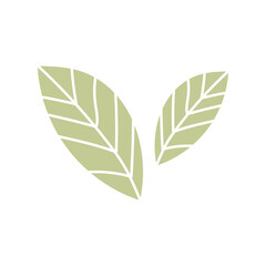 doodle leaf decoration