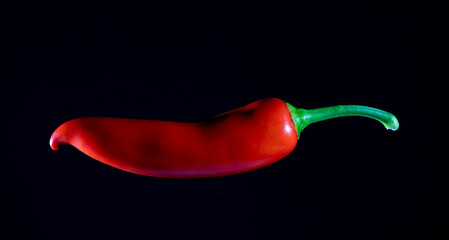 A red chilli against a black background