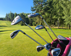 Obraz na płótnie Canvas Golf bag with clubs on green field closeup