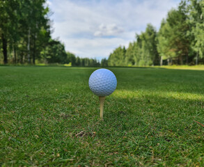 golf ball is ready to be thrown and is on tee
