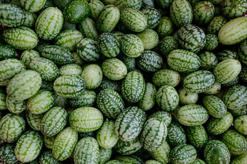 Cucamelon, Melothria scabra or mousemelon, freshly harvested Mexican miniature watermelon texture