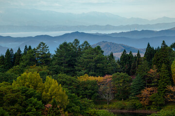 Obraz premium 森と山々