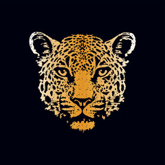 jaguar face on dark background