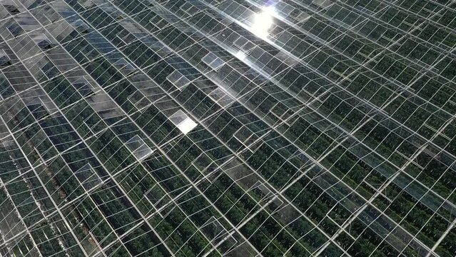 Drone flying over greenhouses and Agriculture in the Netherlands. In slow motion.