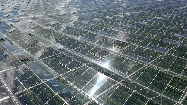 Drone flying over greenhouses and Agriculture in the Netherlands.