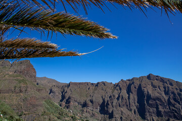 Scenic view on the massive steep rock formation of the Teno mountain massive near village Masca, Tenerife, Canary Islands, Spain, Europe. Palm tree branches with blue background entering the frame