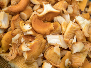 chopped chanterelle mushrooms for frying