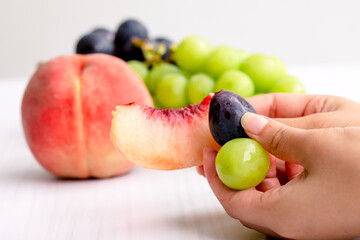 秋の果物　fruit