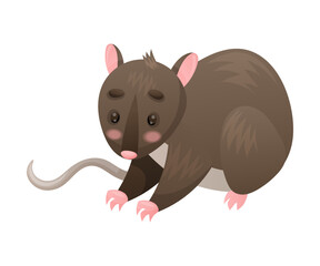 Cute Marsupial Rat as Australian Animal and Endemic Fauna Vector Illustration
