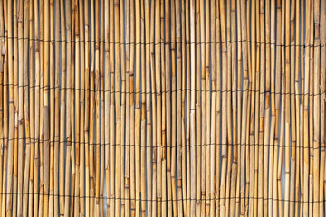 Reed fence wall as abstract background.