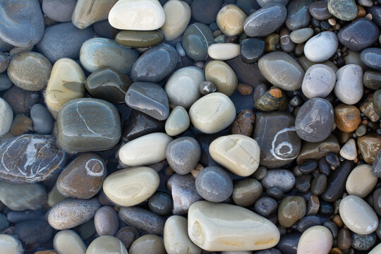 Wet round pebbles. Background with round pebble stones. Stones beach smooth. Top view.